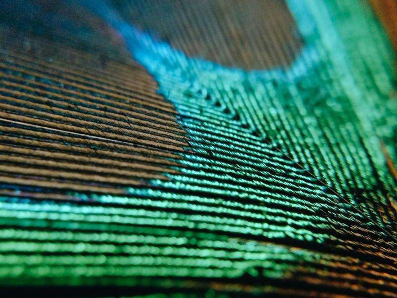 提案と見積もり